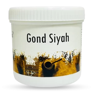 Hakim Suleman’s Gond Siyah (Kala Gond)